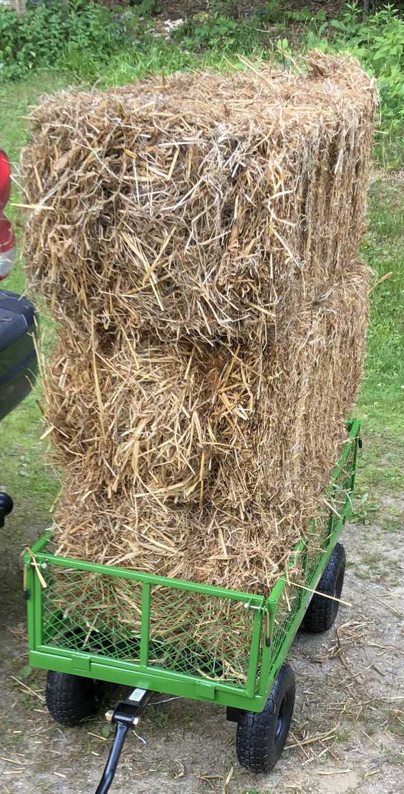 gorilla cart with hay